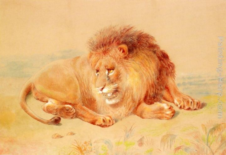 William Huggins Lion
